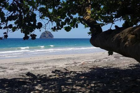 לה דיאמנט Le Chant Du Diamant Calme Vue Mer Et Plage A 50 M מראה חיצוני תמונה